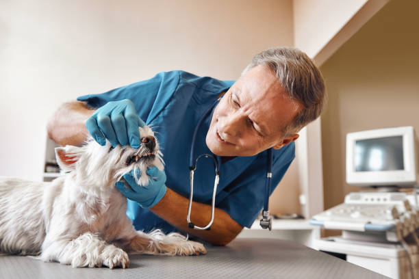 Best Emergency Wisdom Teeth Removal in La Blanca, TX